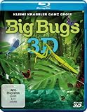 Big Bugs