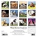 2016 What Horses Teach Us Mini Wall Calendar