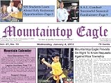 MountaintopEagle