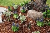 Wallmonkeys Peel and Stick Wall Decals - Flower Bed - 48"W x 32"H Removable Graphic