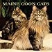 maine_coon34maine coon - Maine Coon Cats 2001 Calendar