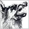 I,Vigilante [Vinyl LP]