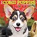 Just Corgi Puppies 2017 Wall Calendar (Dog Breed Calendars)