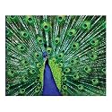 Springbok Eyes of Color 1000 Piece Jigsaw Puzzle
