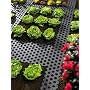 10 Kunststoff Beetplatten Braun MADE IN GERMANY von Alpfa