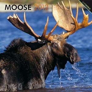 Moose 2012 Calendar (Oneworld)