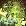 The Green Ghost Project