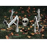 Indoor Fountains item: Paper Magic Group Spooky Home Decor, Lighted Ground Breakers Skeleton Body Parts