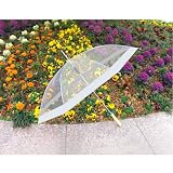 Clear Umbrella with White Accents