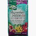 Epson Salt 5 lb. (2 Pack)