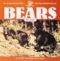 Bears for Kids (Cocoa Table)