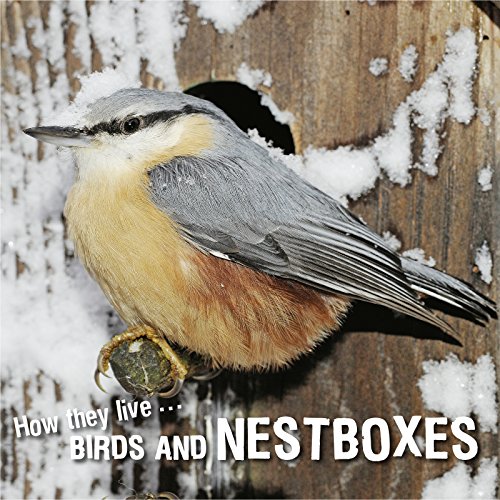 How they live... Birds and nestboxes: Learn All There Is to Know About These Animals!