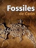 Fossiles de Cerin