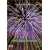 Fireworks - Colorful Displays of Light and Sound (Special Edition)