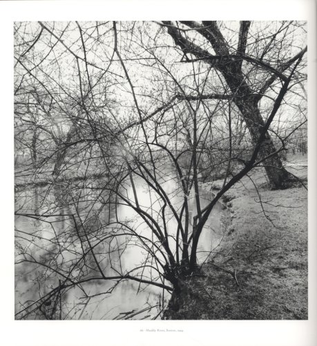 Lee Friedlander: Photographs, Frederick Law Olmsted Landscapes