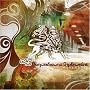 Nagual Sound Experiment
