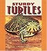 Sturdy Turtles (Pull Ahead Books)