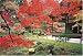 1000ピース 秋に染まる南禅寺