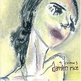 Damien Rice -  9 Crimes