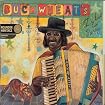 Buckwheat's Zydeco Party
