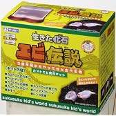 生きた化石 エビ伝説