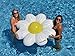 Swimline Daisy Float Ball & Ring Set