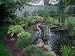 Blue Heron Decoy Protect Your Fish Koi