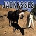 Jackasses 2004 Calendar