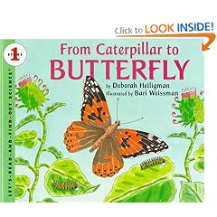 From Caterpillar to Butterfly (Let's-Read-and-Find-Out Science 1)
