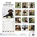 Chocolate Labrador Retriever Calendar - Only Dog Breed Chocolate Labrador Retriever Calendar - 2016 Wall calendars - Dog Calendars - Monthly Wall Calendar by Avonside