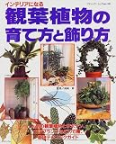 �C���e���A�ɂȂ�ϗt�A���̈�ĕ��Ə�����\�l�C��176��Љ� (�u�e�B�b�N�E���b�N (No.201))