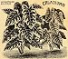 1894 Print Caladiums Flower Angel Wings Art J L Childs - Original Halftone Print