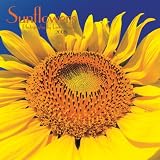Sunflowers 2008 Wall Calendar; ISBN: 1421619865; by: <b>Maggie Oster</b>