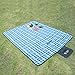 The Friendly Swede Picnic Blanket with Strap