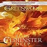 Bury Elminster Deep: Forgotten Realms: The Sage of Shadowdale, Book 2