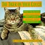The Tiger on Your Couch: What the Big Cats Can Teach You About Living in Harmony With Your House Cat