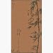 W. J. Dennis SD3684MIT Decorative Printed Screen