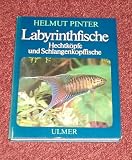 Produkt-Bild: Labyrinthfische, Hechtk&ouml;pfe und Schlangenkopffische