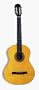 Classic Guitar from Amigo
