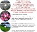 The Guerilla Marketing, Building Effective Lead Capture Web Pages, Affiliate Marketing for Health Supplements For Older People Businesses