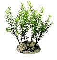 biOrb Plant Ring Medium (biOrb or Larger)