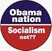 Obama Nation (Abomination): Socialism not?? (USA / United States of America / American / Political) - 1 1/4" Button / Pin