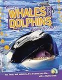 Whales and dolphins