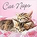 Cat Naps 2017 Mini Calendar