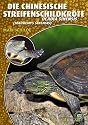 Die Chinesische Streifenschildkröte