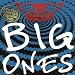 Die besten ROCK-CDs �berhaupt