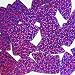 Fishscale Fin Sequin 1.5