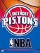 NBA Vertical Detroit Pistons Flag / Banner