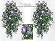 TWO 40" Morning Glory Artificial Hanging Flower Bushes