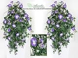 TWO 40" Morning Glory Artificial Hanging Flower Bushes, with No Pot,